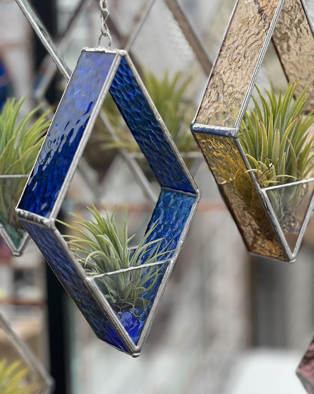 Air Plant Hangers